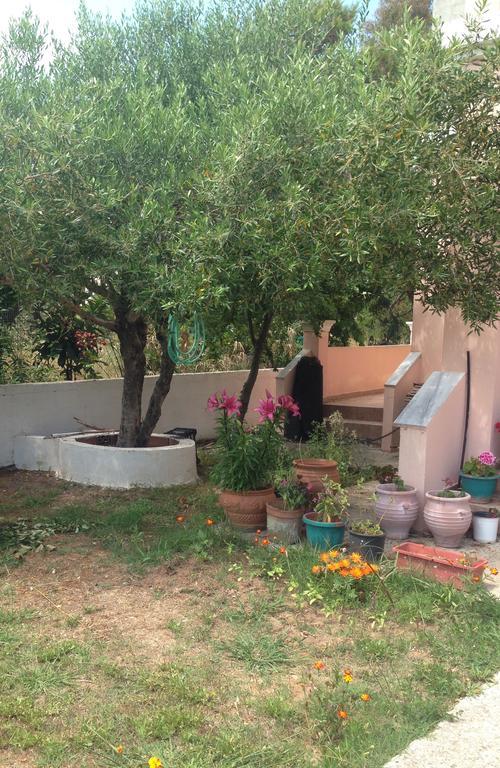 Villa Zenap Agios Georgios  Bagian luar foto